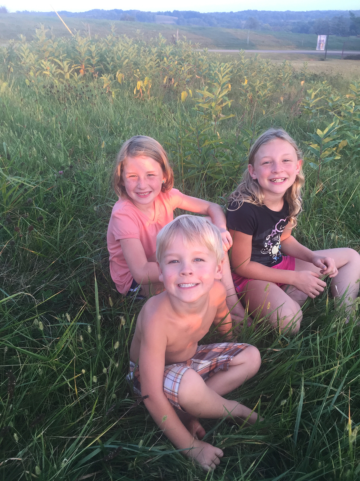 Sunshine Acres Sweet Meadows Market